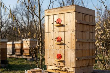Včelařská praxe: Včelařské předjaří: vypouštění matek, doplnění zásob a uteplení