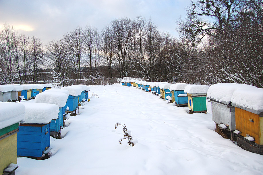 Kalendárium – únor