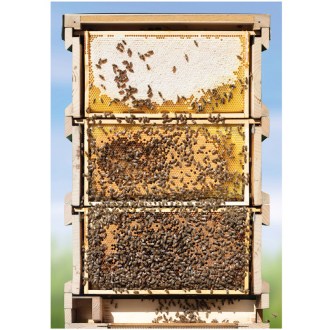 Plakát SIPA Včelí úl 84,1 x 59,4