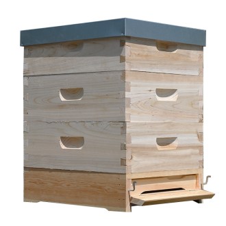 Včelí úl Langstroth 3 x 2/3 (159) - 10 r. - cinkovaný