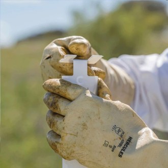 Calistrip Biox 6,44 g - 10 pásků