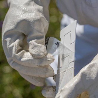 Calistrip Biox 6,44 g - 10 pásků