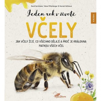 Jeden rok v životě včely - Jak včely žijí
