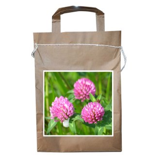 Jetel luční VENDELÍN - 1 kg