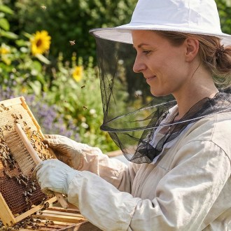 lobouk včelařský - norm. A