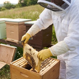 Profi kombinéza včelařská s kuklou vel: M