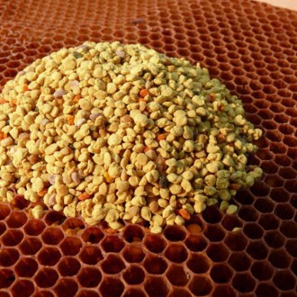 pleva květový pyl 100 g, včelařské potřeby
