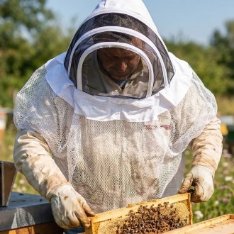Ochranná kukla Mellarius se závojem