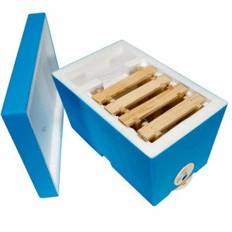 Oplodňáček - Lysoň -  na 1 matku - lakovaný