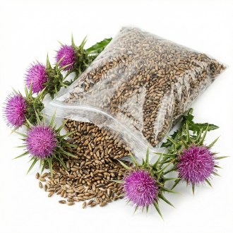 Ostropestřec mariánský  - 0,5 kg