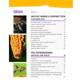 Proč se včelám potí nohy a poslouchají kolenem - Jürgen Tautz