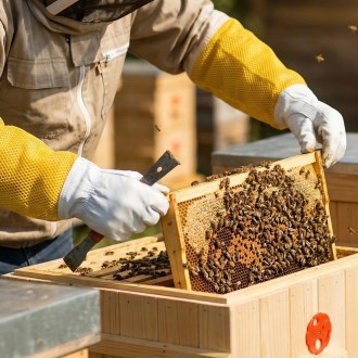 Rukavice včelařské velikost: S-XXL - s větráním