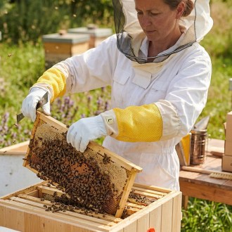 Rukavice včelařské velikost: S-XXL - s větráním