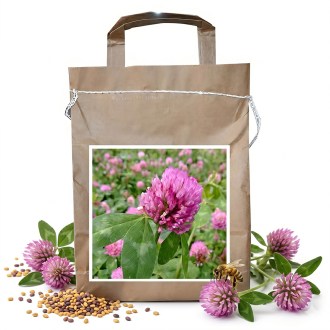 Jetel luční SLAVOJ - 1 kg