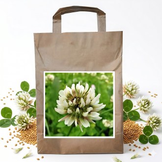 Jetel plazivý JURA - 1 kg