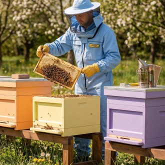 Náhradní kukla Elegant Bee s ventilací