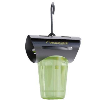 Past na asijské sršně VespaCatch