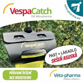 Past na asijské sršně VespaCatch