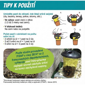 Past na asijské sršně VespaCatch