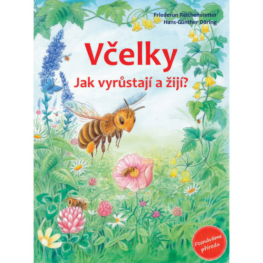 včelky – jak vyrůstají a žijí