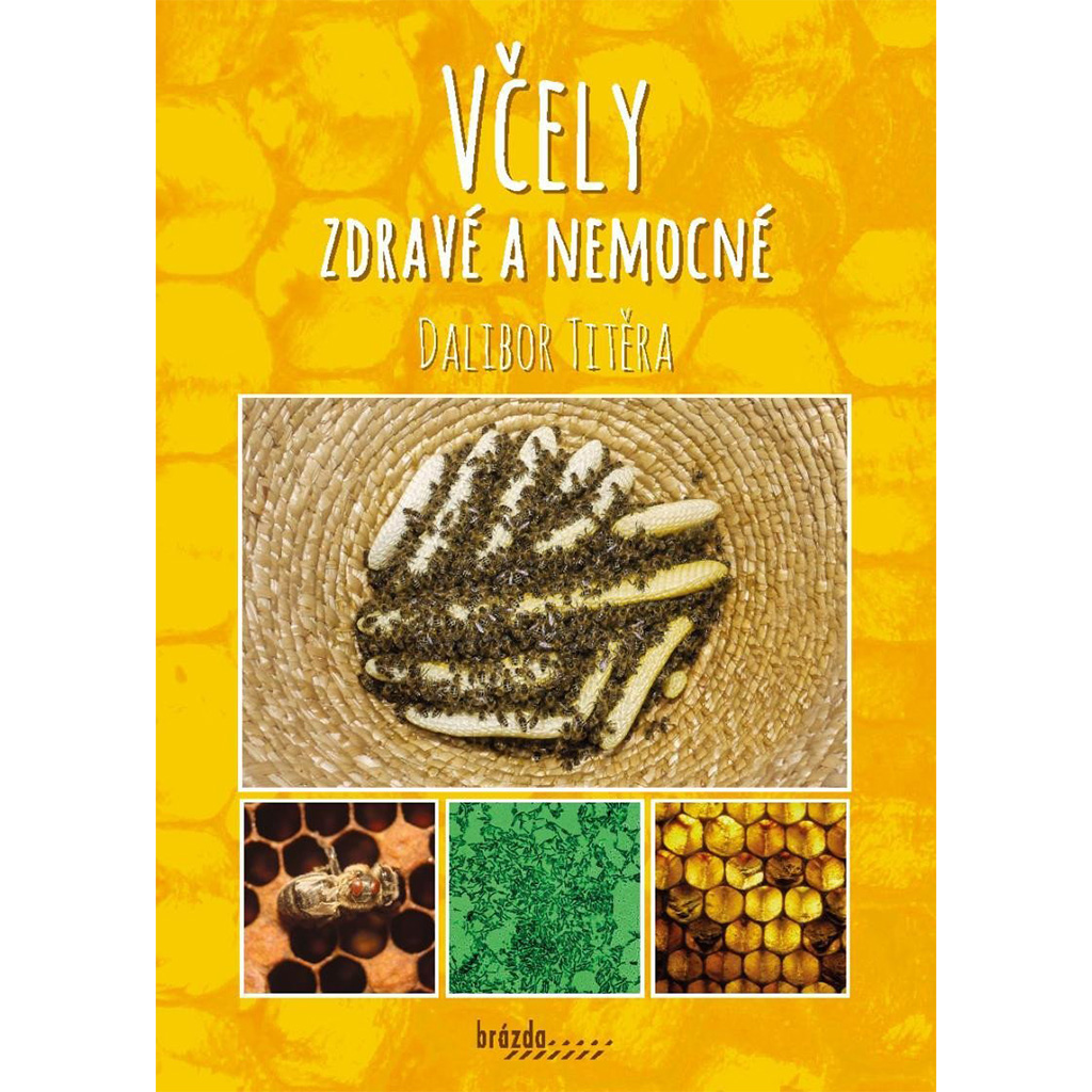 Včely zdravé a nemocné, obálka knihy, zdraví včelstev, včelařská literatura, péče o včely